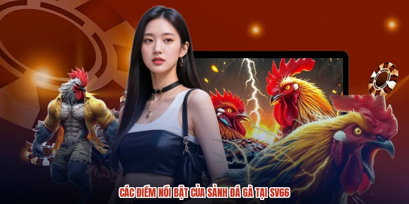Các điểm nổi bật của sảnh đá gà tại SV66
