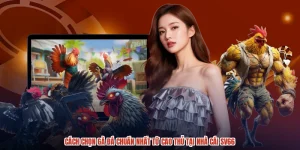 Cách Chọn Gà Đá Chuẩn Nhất Từ Cao Thủ Tại Nhà Cái SV66