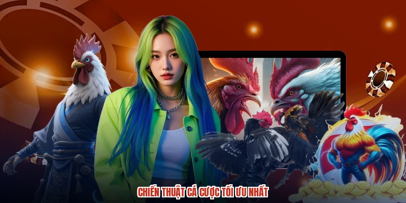 Chiến thuật cá cược tối ưu nhất