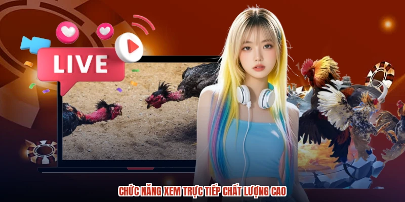 Chức năng xem trực tiếp chất lượng cao