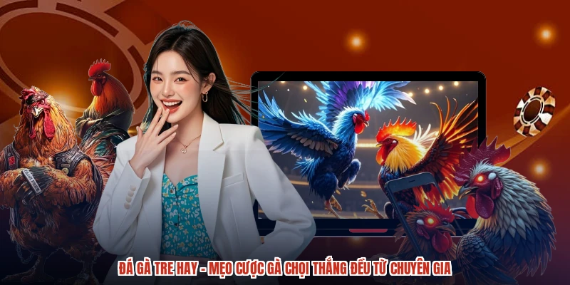 Đá Gà Tre Hay - Mẹo Cược Gà Chọi Thắng Đều Từ Chuyên Gia