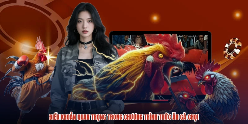 Điều khoản quan trọng trong chương trình thức ăn gà chọi