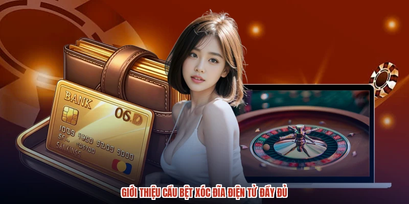 Giới thiệu cầu bệt xóc đĩa điện tử đầy đủ