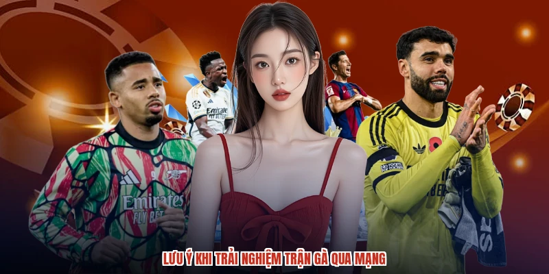 Lưu ý khi trải nghiệm trận gà qua mạng