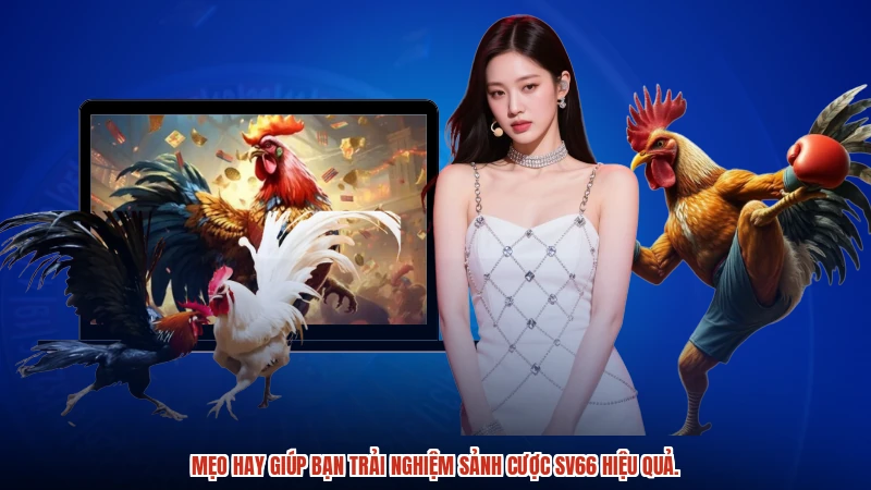 Mẹo hay giúp bạn trải nghiệm sảnh cược SV66 hiệu quả.