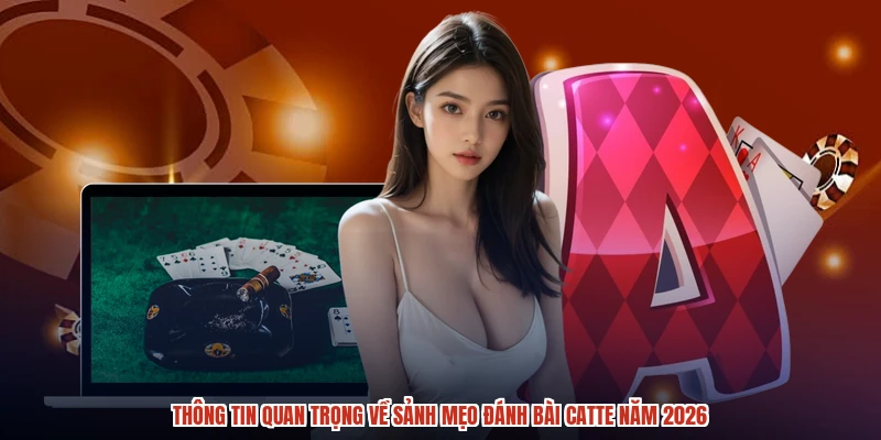 Thông tin quan trọng về sảnh mẹo đánh bài catte năm 2026