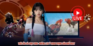 Thức Ăn Gà Chọi SV66: Những Lưu Ý Quan Trọng Cần Nhớ Ngay