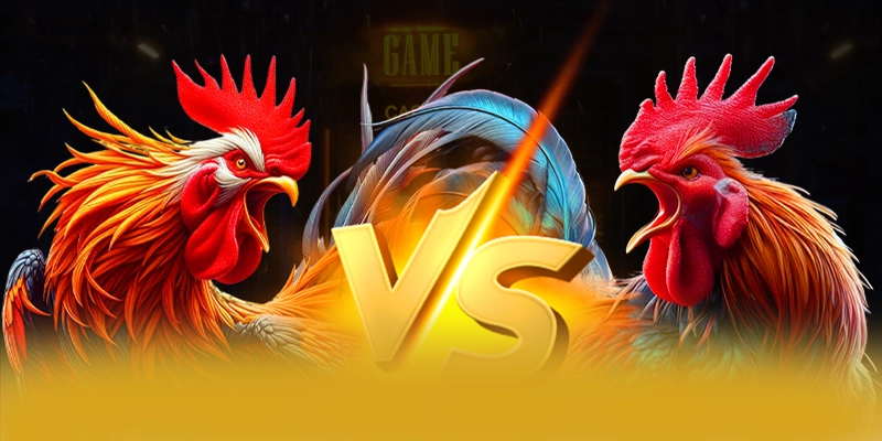Nhan xet tu cong dong nguoi choi ve 8XBET